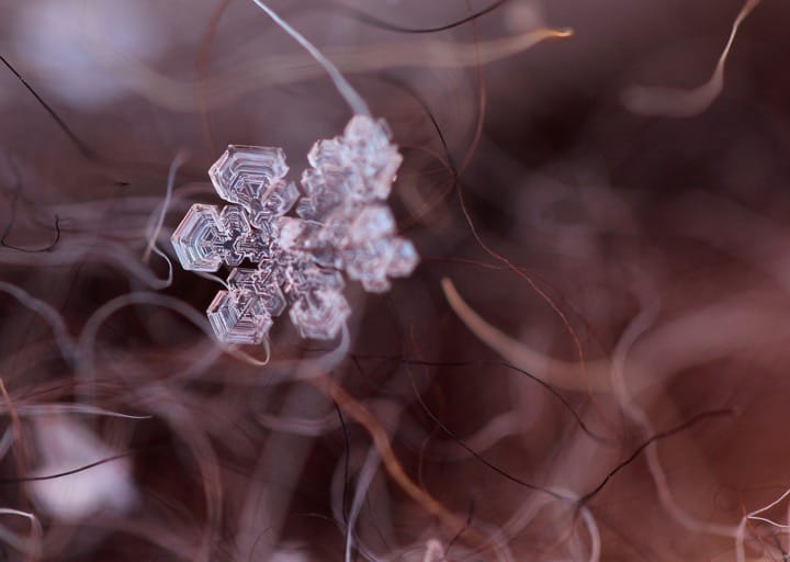 The Wiki Science Competition is back