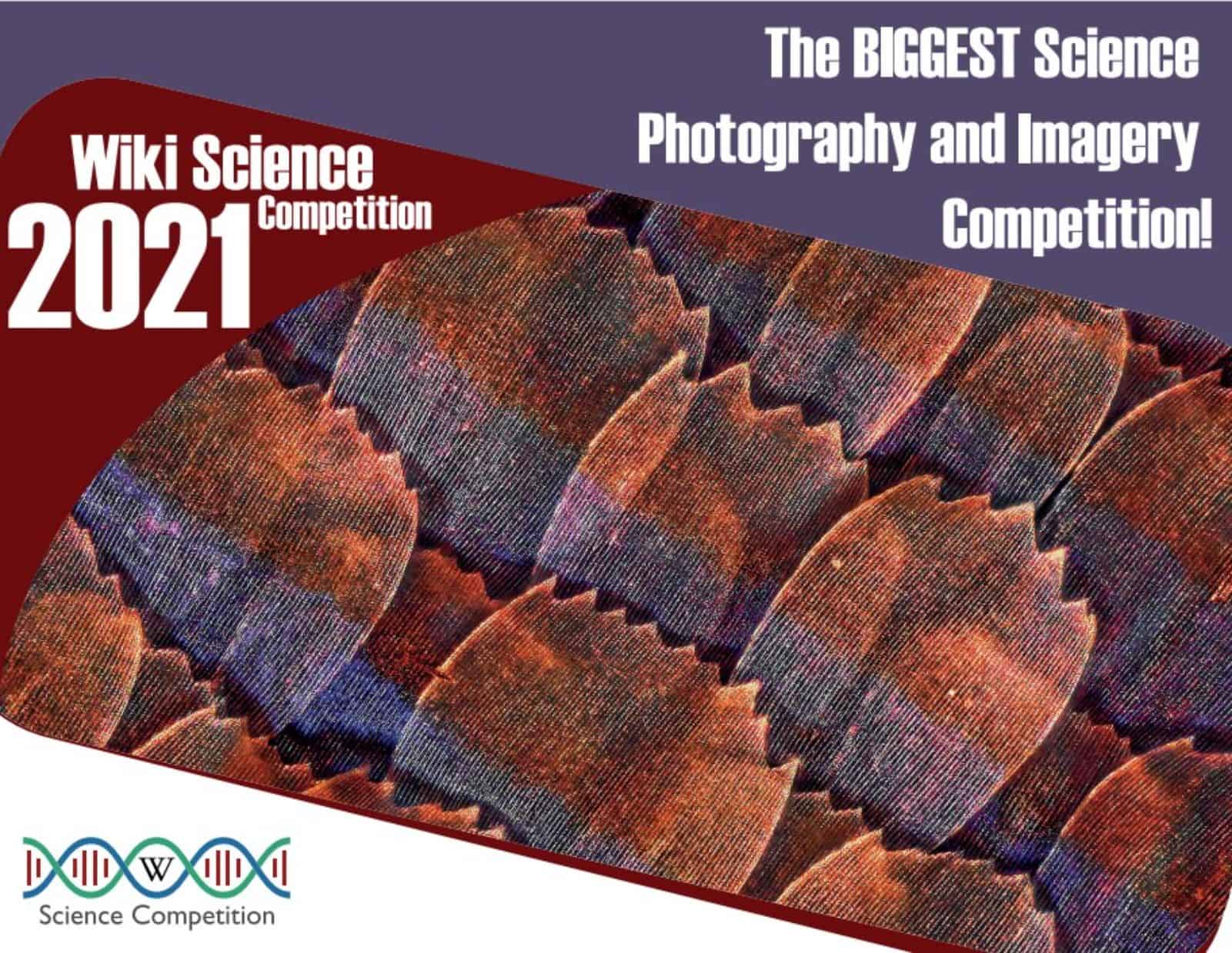 Wiki Science Competition – edition 2021