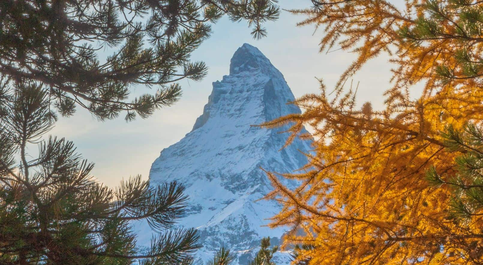 Annual Report 2021 – A Successful Year For Wikimedia CH