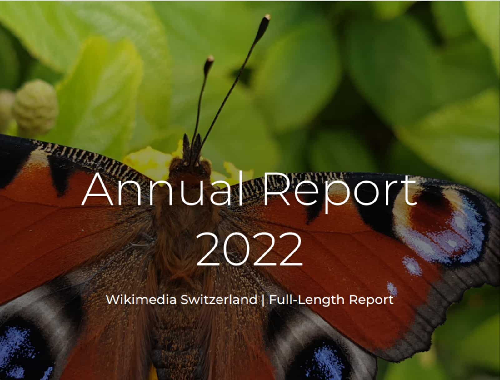 A year of continuous transformation