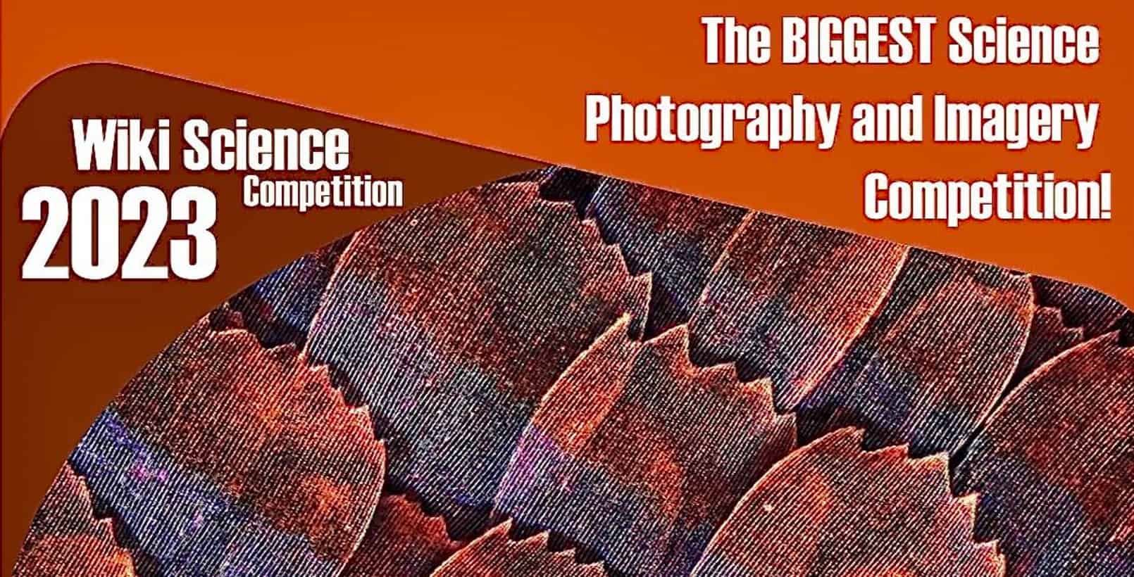 Wiki Science Competition: Swiss user won two international prizes