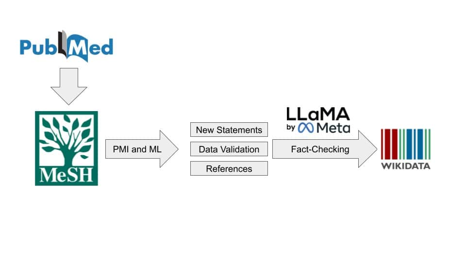 Swiss server helps optimise Wikidata in the field of medicine