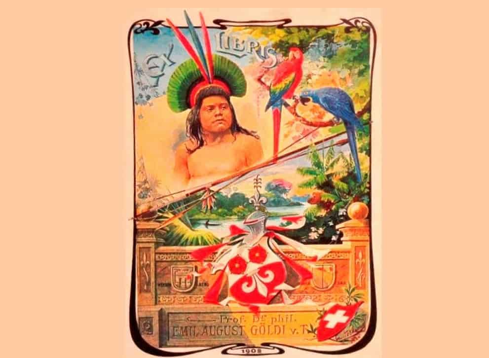 GLAM programme supports “Amazonian Knowledge on Wiki”