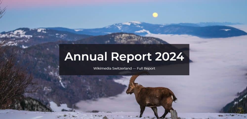 Annual Report 2024 – a year of growth and adaptation