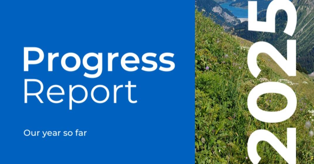 A review of the first six months of our activities in 2025